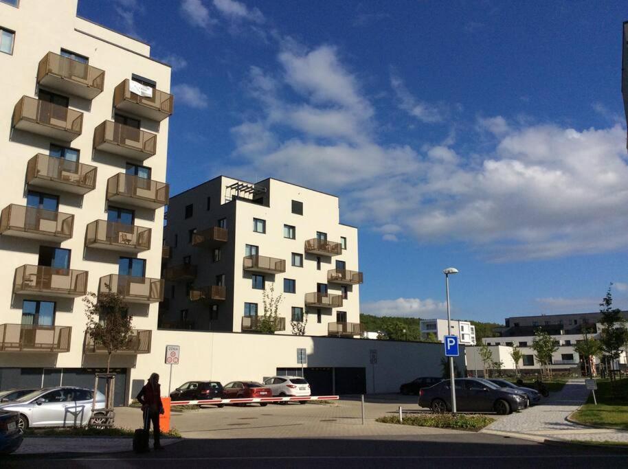 Apartment Waltrovka, Free Parking *